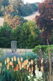 We did not find results for: How To Improve Your Garden Photography Even If You Hate Tech The Middle Sized Garden Gardening Blog