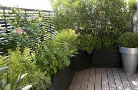 Des Plantes Grimpantes Pour Balcon Et Terrasse On Est Toujours Dans Le Jardin Archzine Fr Terrasse Jardin Jardins Amenagement Jardin