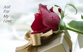 Maybe you would like to learn more about one of these? Happy Rose Day Wishes For Girlfriend For 2018