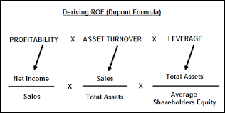 return on equity roe profitability ratio