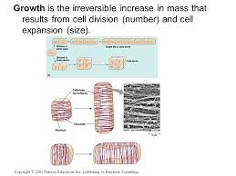 Plants are capable of rapidly adapting to changes in their environment. Plant Growth And Development Ppt Video Online Download