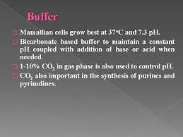 Maybe you would like to learn more about one of these? Introduction To Animal Cell Culture Introduction Cell Culture