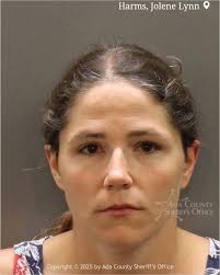 Felony stalking charges in Boise arrest case