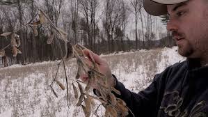 TWF VLOG 17.5 Informative segment