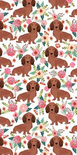 dogs floral crown casetify iphone art design animals wallpaper ideas dachshund wallpaper art wallpaper iphone cute wallpapers