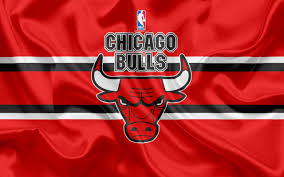 5 out of 5 stars. Chicago Bulls Logo Hd Wallpaper Hintergrund 2560x1600