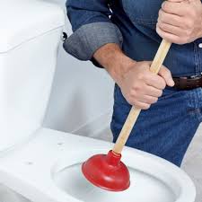 This takes time to perfect, so continue trying until you successfully unlock the. Best Toilet Plungers And Sink Plungers