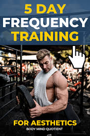 Aesthetic training routine exercises upper body workout 1. 5 Day Frequency Split For Aesthetics Body Mind Quotient