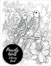 Parrot is a very intelligent bird.parrot like to eat fruits. Amazon Com Parrots Adult Coloring Book Large Stress Relieving Relaxing Coloring Book For Grownups Men Women Easy Moderate Intricate One Sided Designs Patterns For Leisure Relaxation 9781540574640 Coloring Books