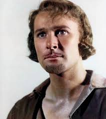 Are you ready for our Star of the Month, Errol Flynn? What are you favorite  of his films? Me, I love him in The Adventures of Don Juan. Everything in  that film