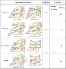 Image result for Subaxial Injury Classification Scale