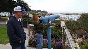 Maybe you would like to learn more about one of these? Pismo Coast Village Rv Resort In Pismo Beach California Kid Friendly Hotel Reviews Trekaroo