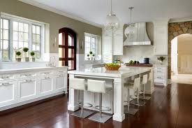 taj mahal transitional kitchen