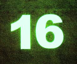 Birthday Wishes For 16 Year Old Boy Funny 16th Birthday Messages Poems And Jokes Old Birthday Cards 16th Birthday Card Birthday Card Sayings