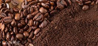 But the methods of application are all over the map. A Common Sense Guide To Using Coffee Grounds In The Garden