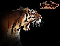 Image result for Grigio Excalibur 1988 Piaggio