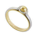 Juli's ntnu ring 3d model. Order An Ntnu Ring Wiki Innsida Ntnu No
