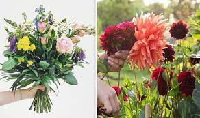 A) will rise b) rises c) is rising. How To Make Cut Flowers Last Longer Express Co Uk