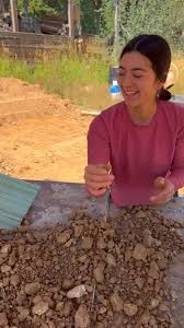 Merry Christmas!! I’m a sucker for anything in the matrix “host rock”.  Check out these garnets we found in Idaho! Huckleberry Garnet mine is a pay  to dig location in northern Idaho. ⭐️