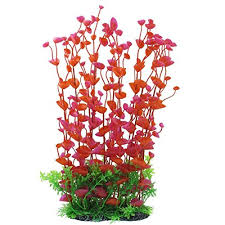 Maybe you would like to learn more about one of these? The Best Fish Tank Decorations 2021 Guide Animal Corner
