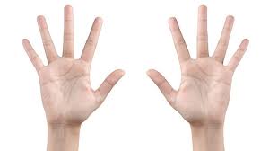 Healthprep official · treatments & prevention · signs & symptoms Length Of Ring And Index Fingers Linked To Sexuality Bbc News