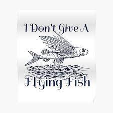 Meme fish under boat with a balloon and a taco. Sarcastic Fish Posters Redbubble