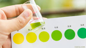 Ammonia and ammonium are different forms of nitrogen. Ammonia Hanging Around Like A Bad Smell Agricultural And Rural Convention Ammonia Hanging Around Like A Bad Smell
