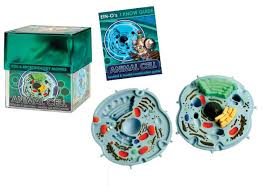 We did not find results for: Anatomy Model Animal Cell Kids