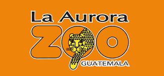 Trabajos En Guatemala Empleos En Guatemala Enero 2021
