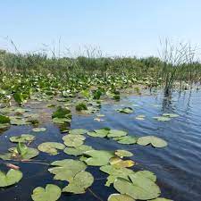 Transport si excursii spre orice destinatie din delta dunarii. Excursii De O Zi In Delta Dunarii Cu Plecarea Din Constanta Home Facebook