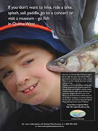 Oshawa council under investigation