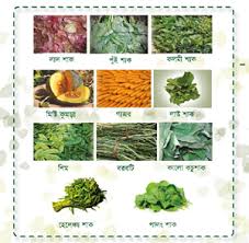 Maternal Nutrition Poster Bangla Spring