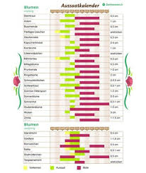 Aussaatkalender Fur Blumen Pflanzkalender Pflanzen Aussaat Kalender