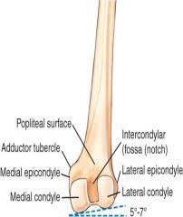 Although not generally termed condyles, the trochlea and capitulum of the humerus act as condyles in the elbow, and the femur head acts as a condyle in the hip joint. Procedures Knee Patella Flashcards Cram Com