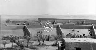 لقطة نادرة من مزارع النعام في المطرية بالقاهرة سنة 1900 نفس موقع ميدان النعام بعين شمس حاليا Old Egypt Egypt History