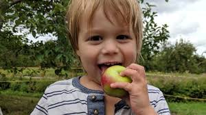 Fundraiser by Stéphanie Dauphinais : Une chambre hyperbare pour Nathan