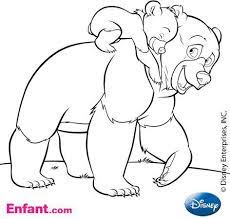 coloriages disney frere des ours coloriage pages de requin