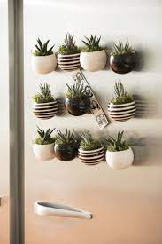 Indoor Succulent Gardens Mini Magnet Succulent Garden Set Of 3 Succulent Garden Indoor Succulents Indoor Plants