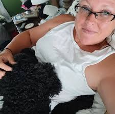 What are affordable pest control options for ants?