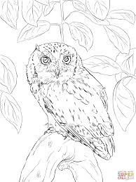 Feb 09, 2021 · online jigsaw puzzles suitable for toddlers, preschool and kindergarten Drawing How To Draw A Snowy Owl Novocom Top