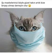 Mina Adli Kullanicinin Hakli Abi Panosundaki Pin 2020 Kedi Instagram Mesajlar