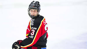 Nhl, the nhl shield, the word mark and image of the stanley cup and nhl conference logos are registered trademarks of the national hockey league. Nils Lundkvist Dobberprospects