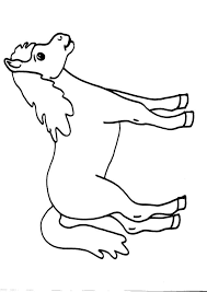 Disegni Per Bambini Animali In Fattoria Da Colorare Cavallo Disegno Per Bambini Animali Disegni