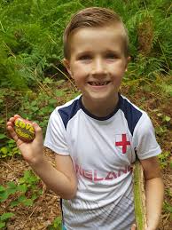 Rock found at Parndon Wood nature reserve today. Re hid within the woods x