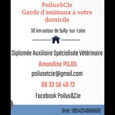 Bande de poilus - Pet-sitter | Balades - Garde d’animaux - Visites à domicile