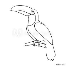 Toucan Icon In Outline Style Isolated Toucan Illustration Embroidered Canvas Bird Art