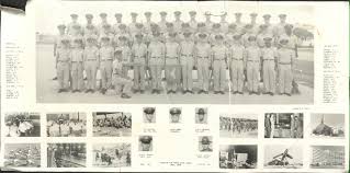 Image result for Blandford Violet 1968 Fleet