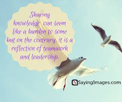 30 Best Knowledge Quotes Sayingimages Com Wisdom is not putting it in a fruit salad. 30 best knowledge quotes sayingimages com