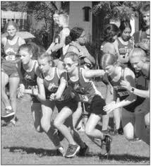 Huskies medal 7 at DV: