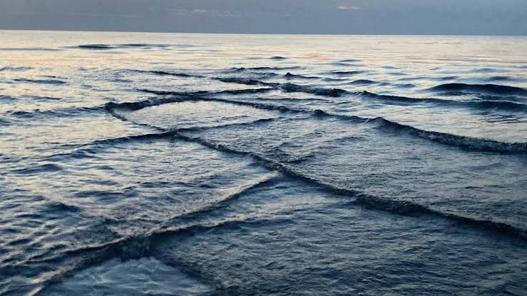 Square Waves: What Are They and Are They Dangerous? - Surfer